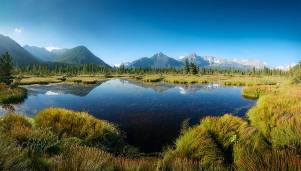 Comment organiser une visite des temples anciens de Petra, Jordanie ?